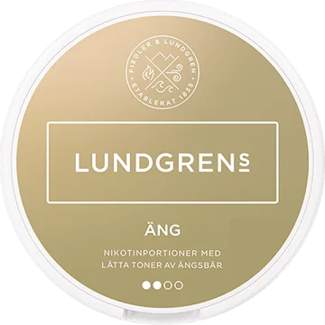 Lundgrens AW Äng